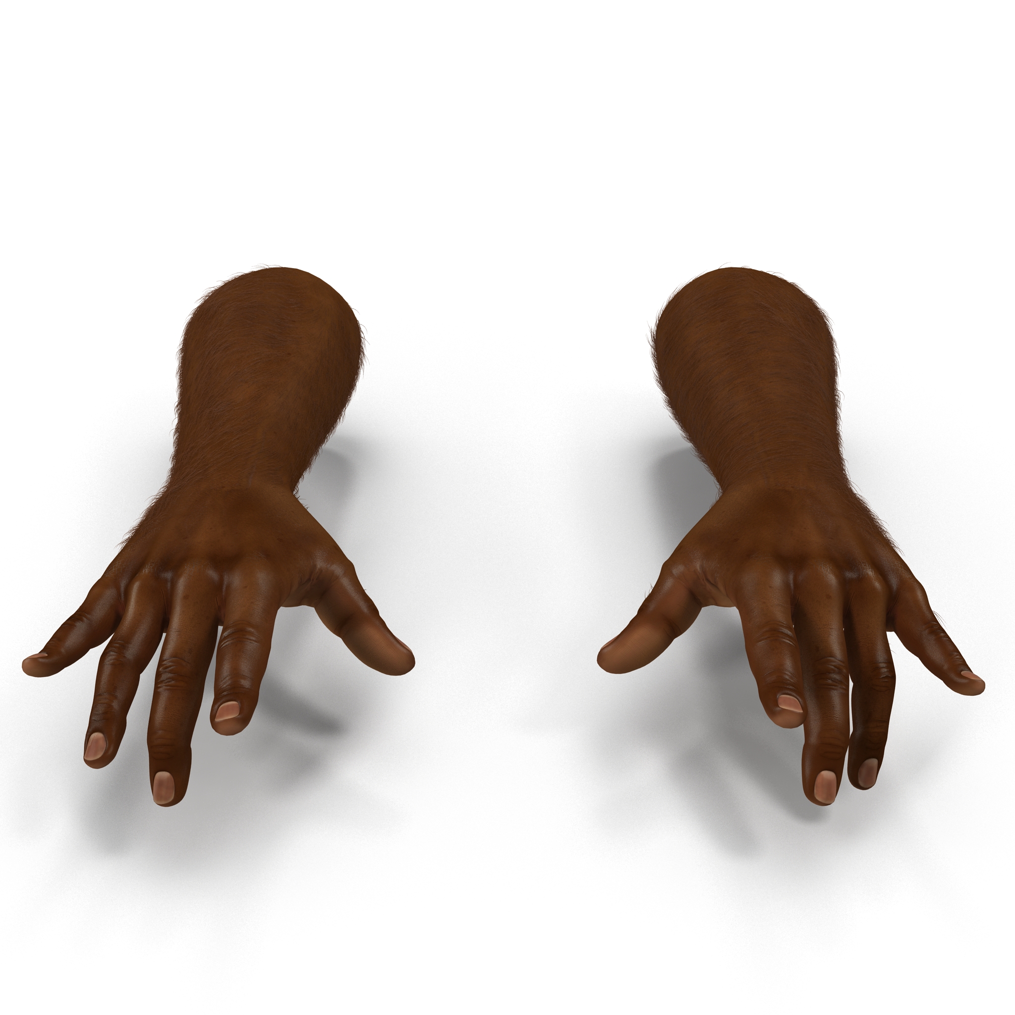 3D African Man Hands with Fur Pose 3 model