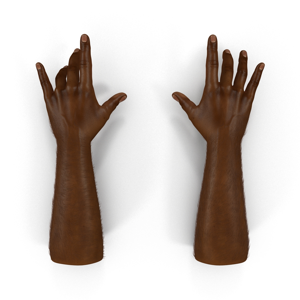 3D African Man Hands with Fur Pose 3 model