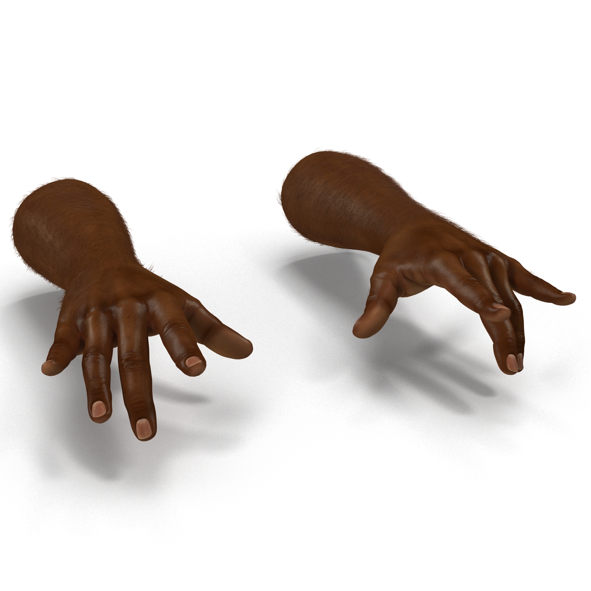 3D African Man Hands with Fur Pose 3 model