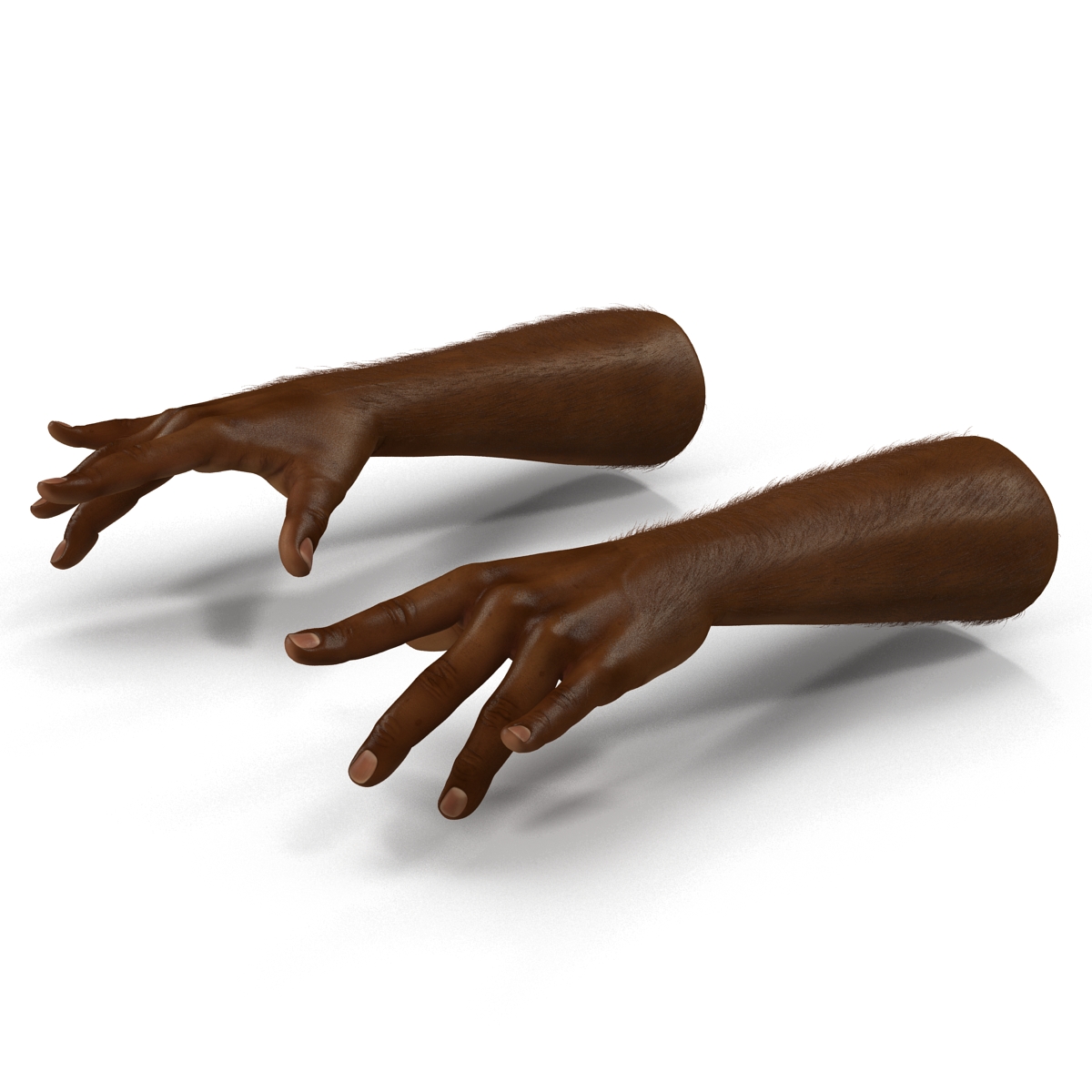 3D African Man Hands with Fur Pose 3 model