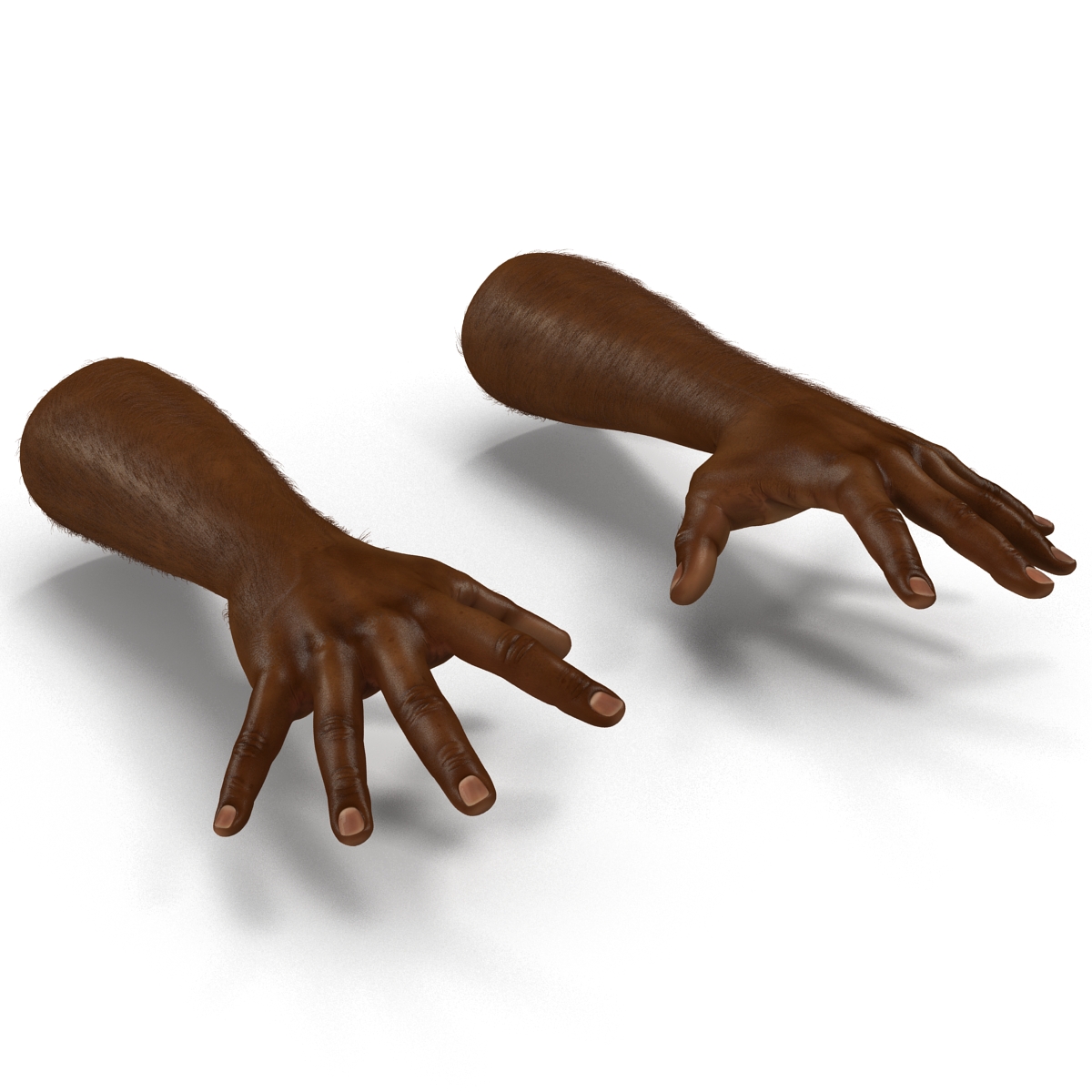 3D African Man Hands with Fur Pose 4 model