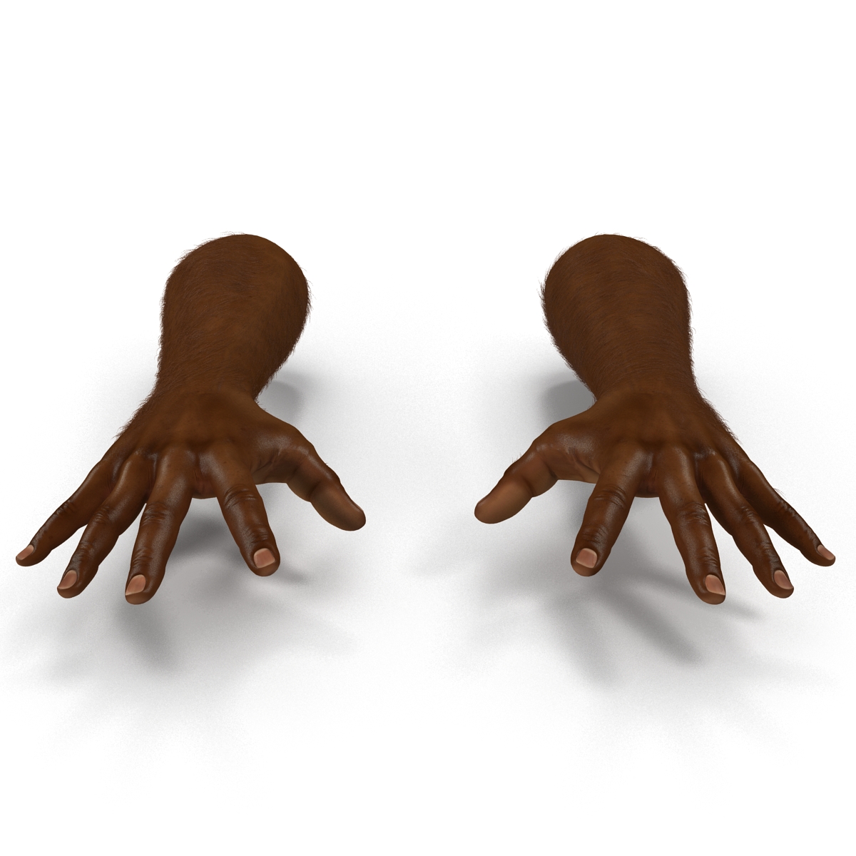 3D African Man Hands with Fur Pose 4 model