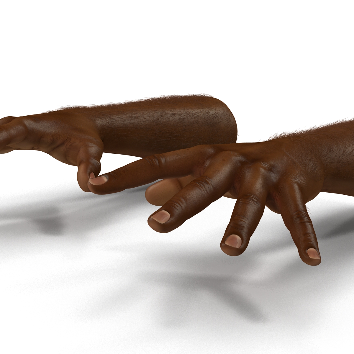 3D African Man Hands with Fur Pose 4 model