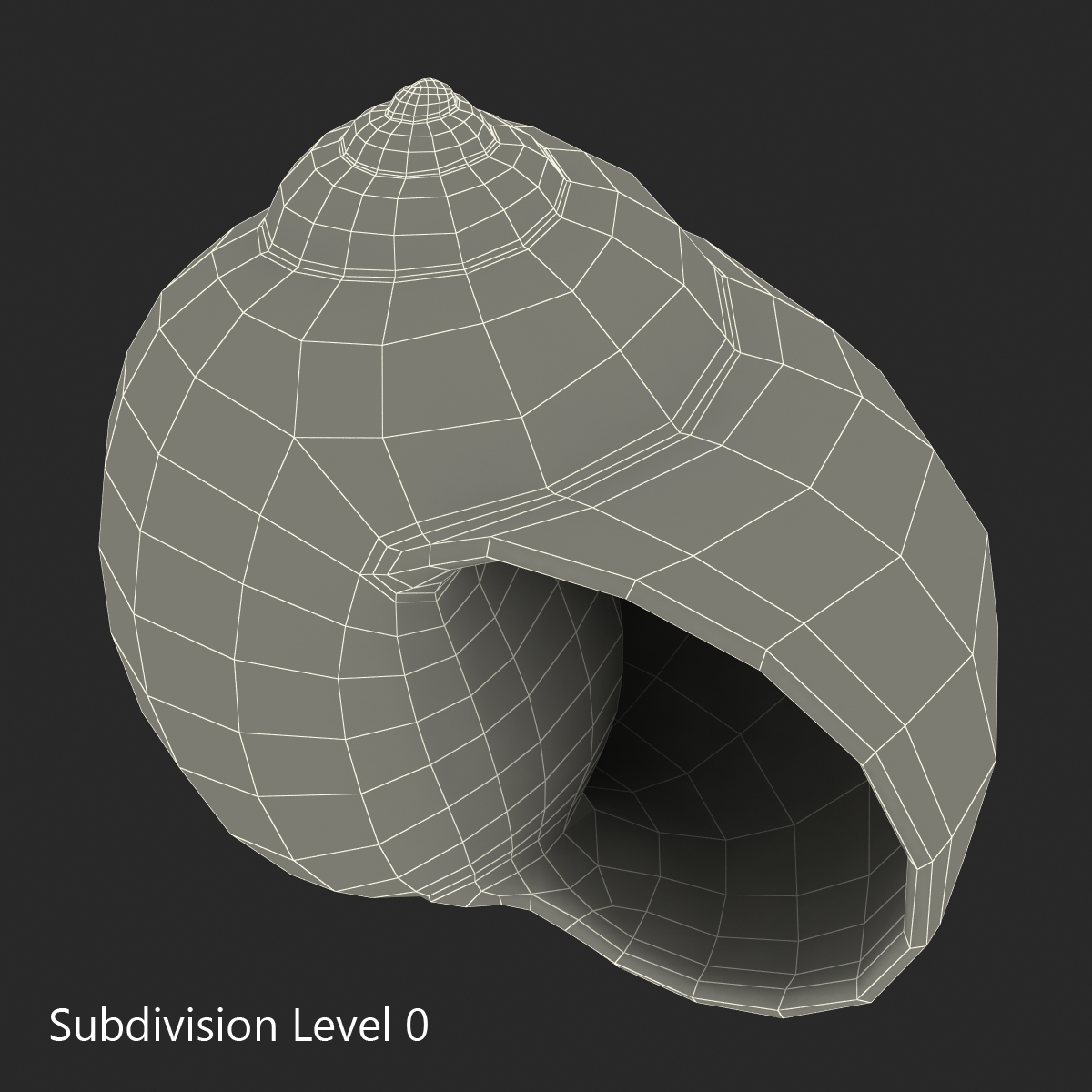 3D model Seashell 2