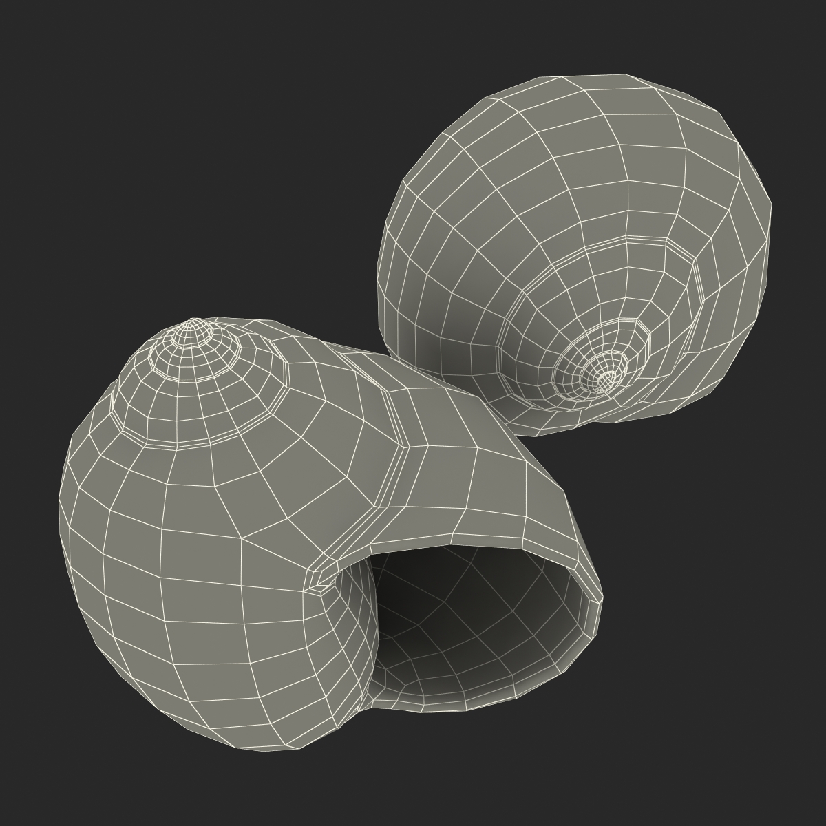 3D model Seashell 2