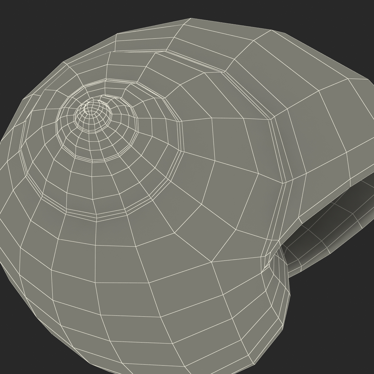 3D model Seashell 2