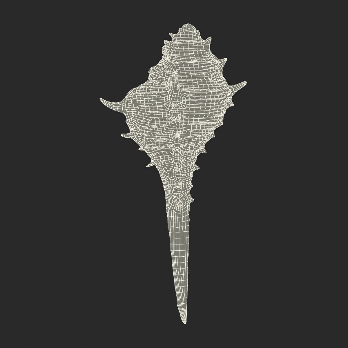 3D model Seashell 3