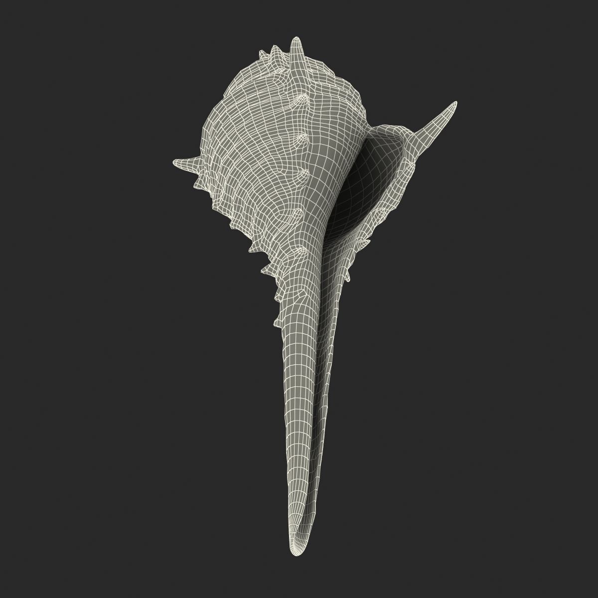 3D model Seashell 3