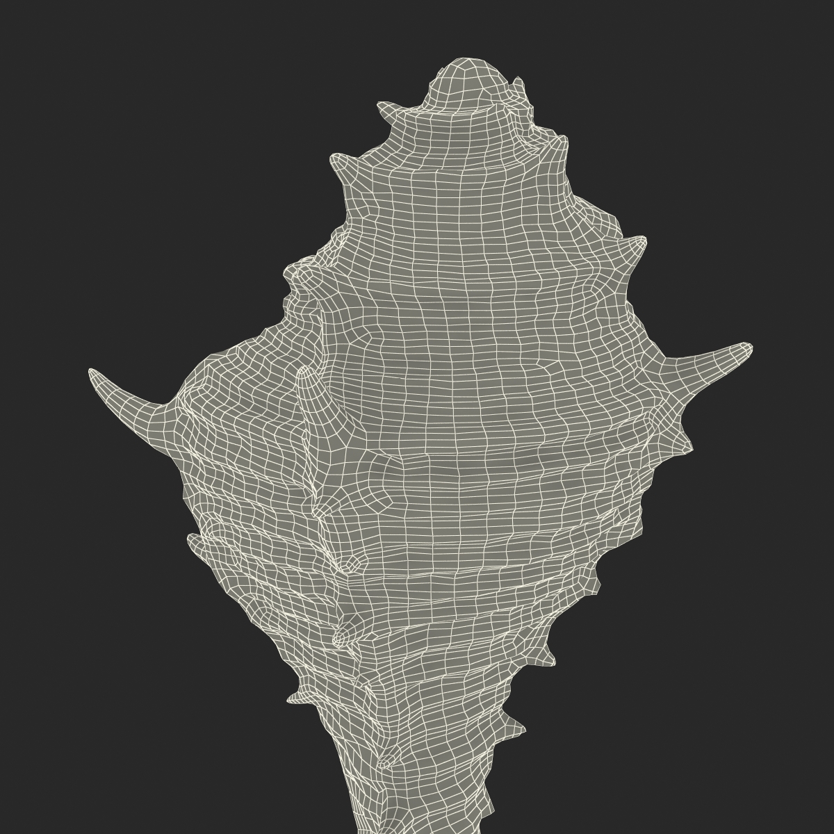 3D model Seashell 3