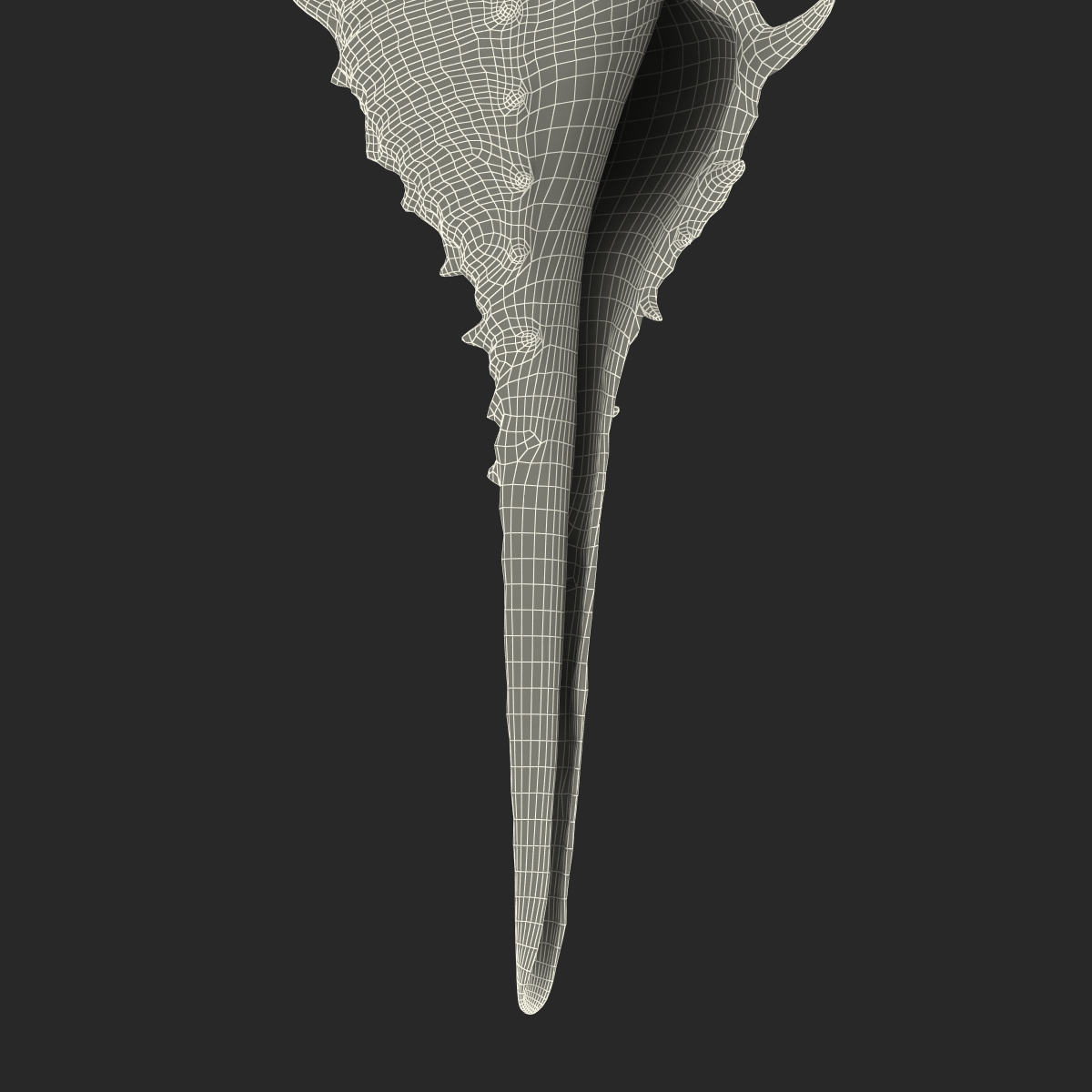 3D model Seashell 3