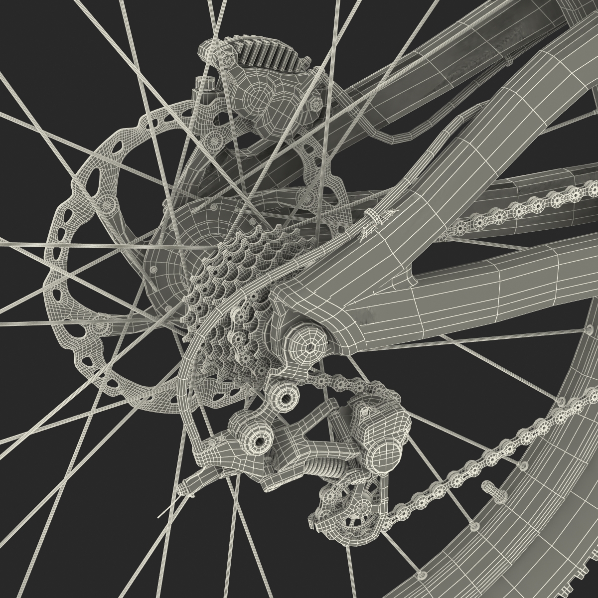 3D Mountain Bike Generic Rigged model