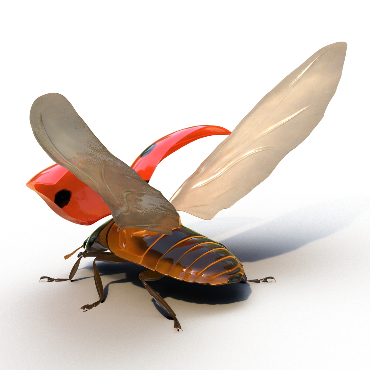 3D Flying Ladybug Rigged