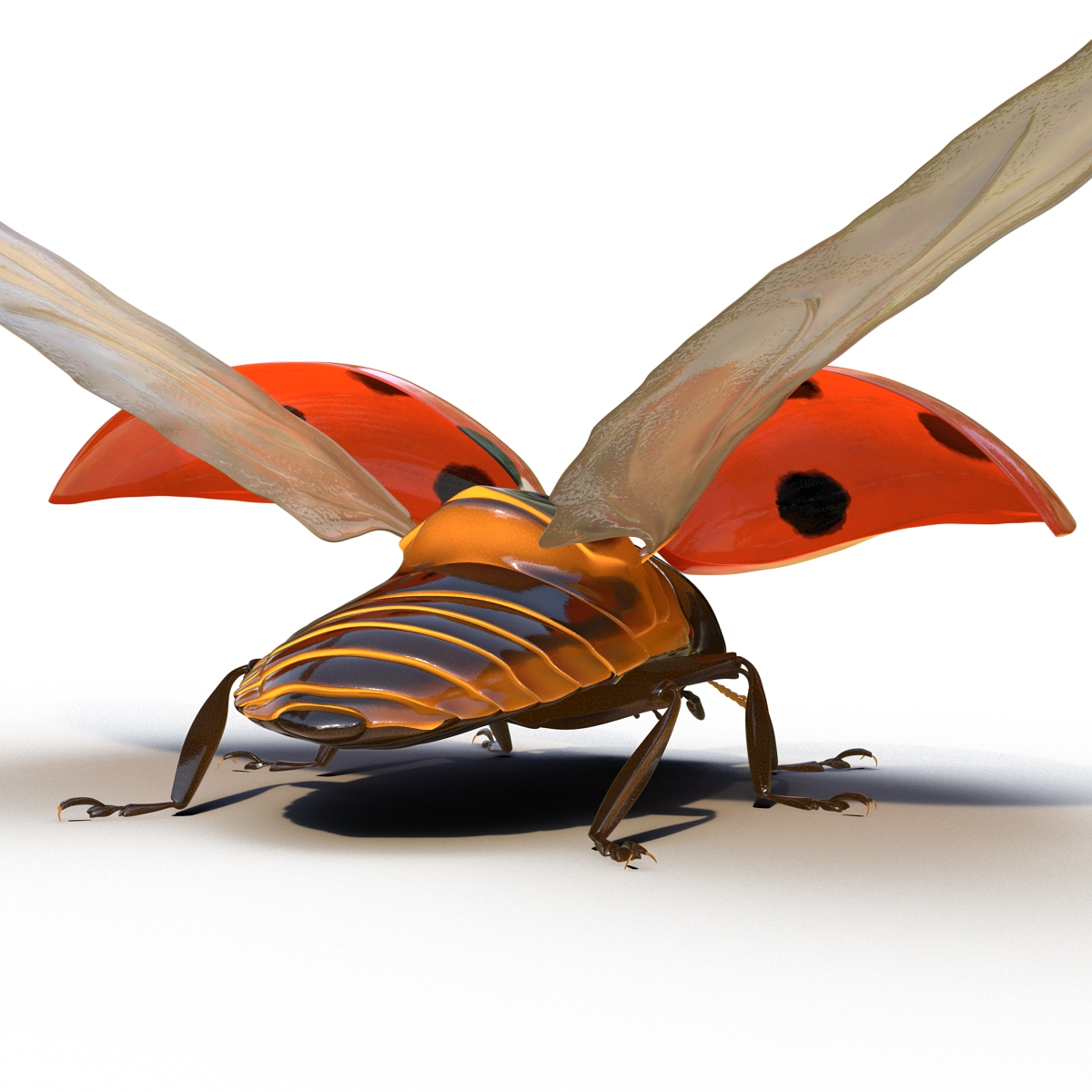 3D Flying Ladybug Rigged