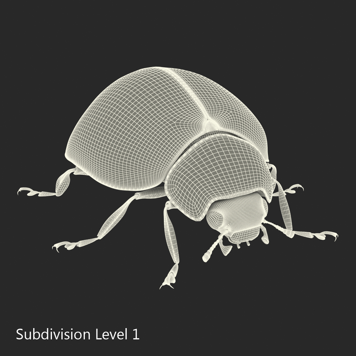 LadyBug Rigged 3D model