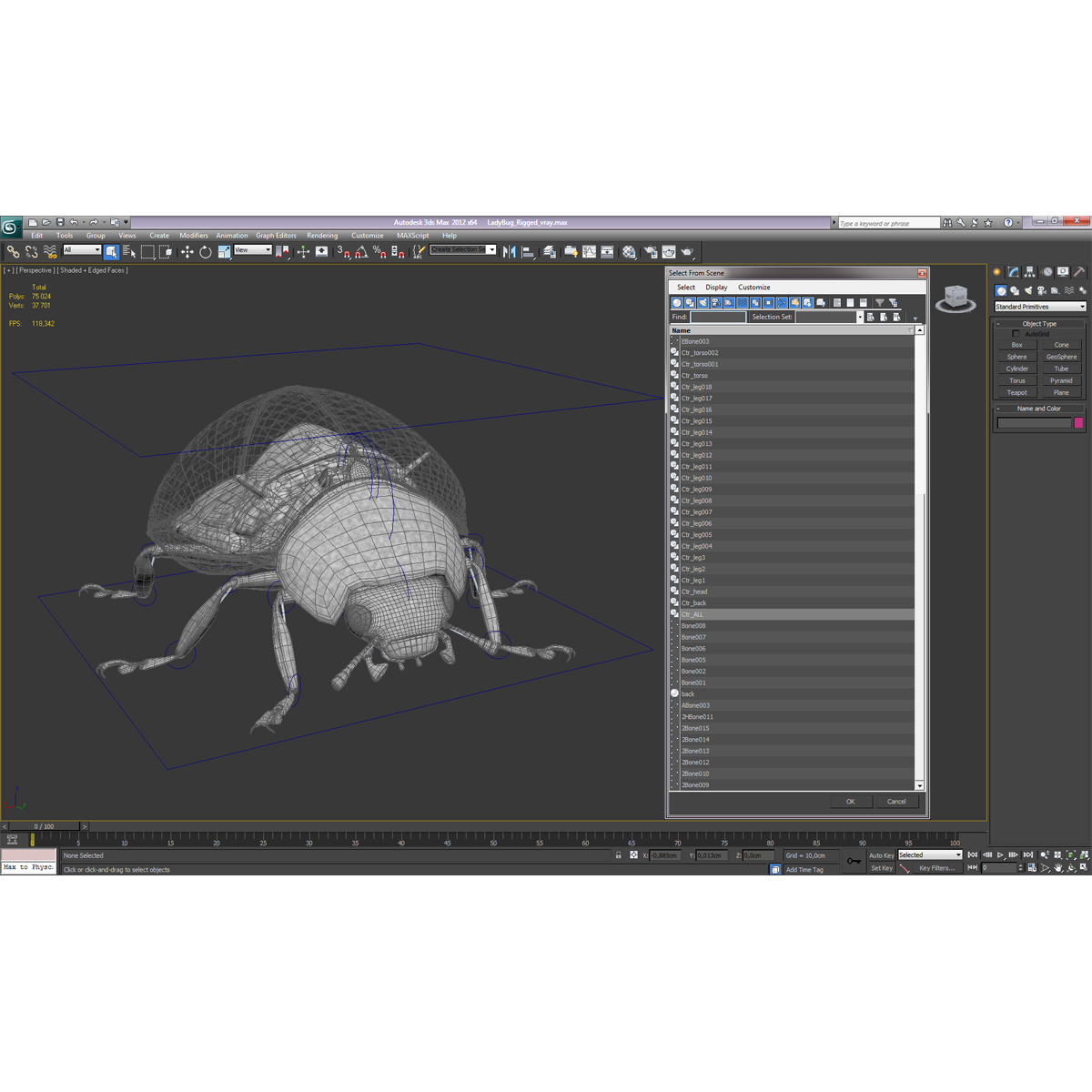 LadyBug Rigged 3D model