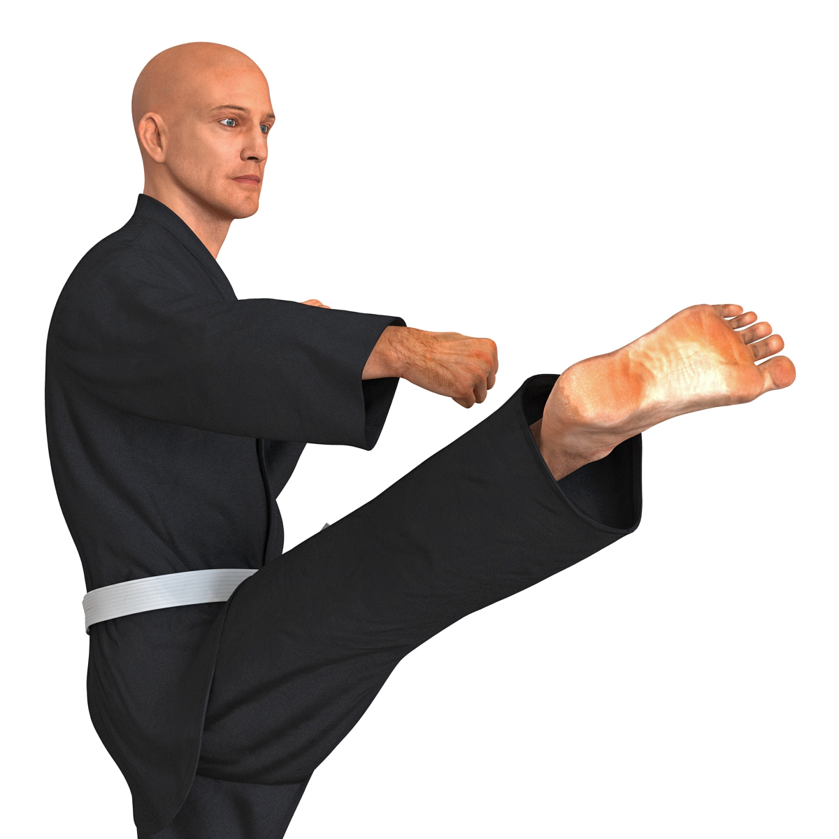 Karate Fighter Pose 2 Black Suit 3D