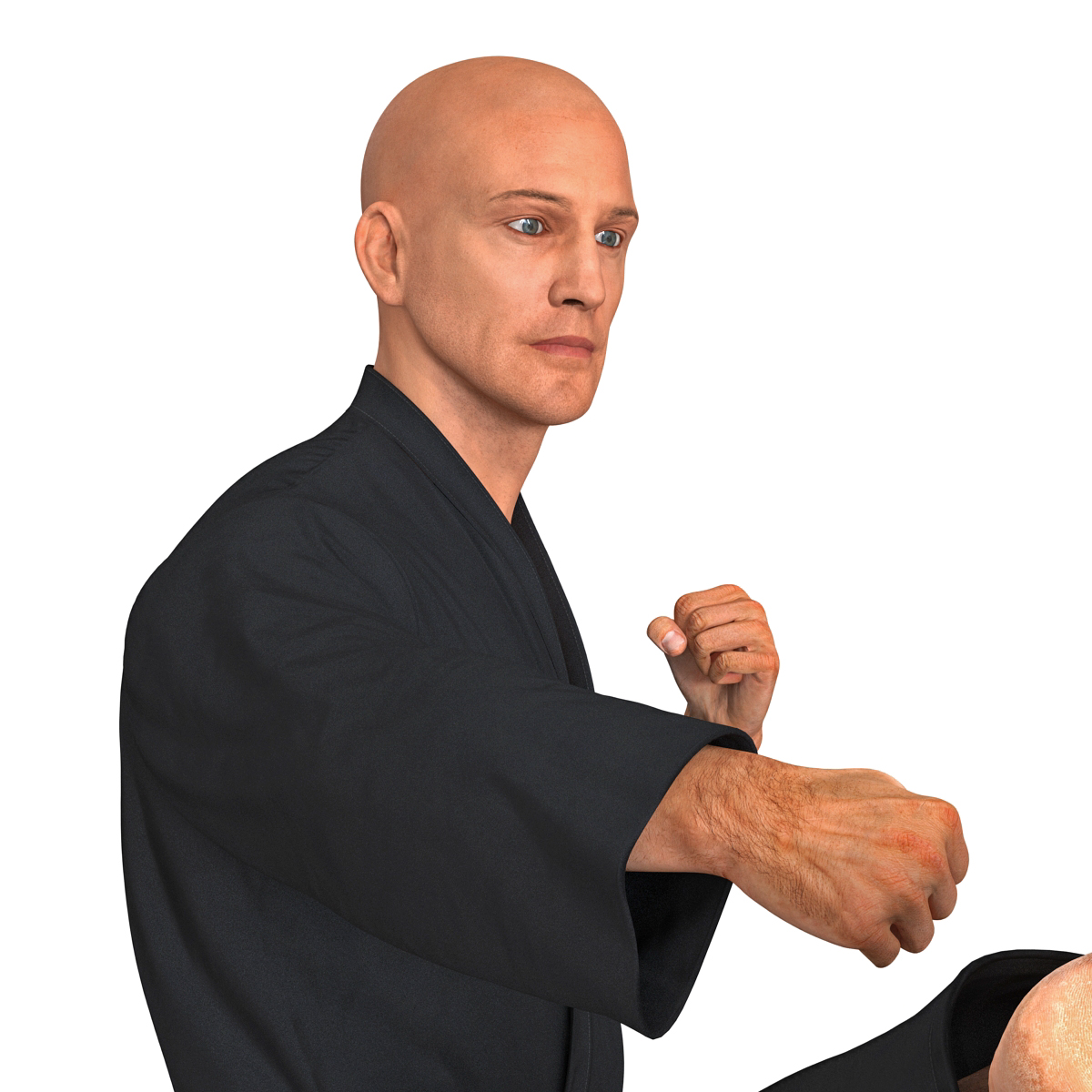 Karate Fighter Pose 2 Black Suit 3D