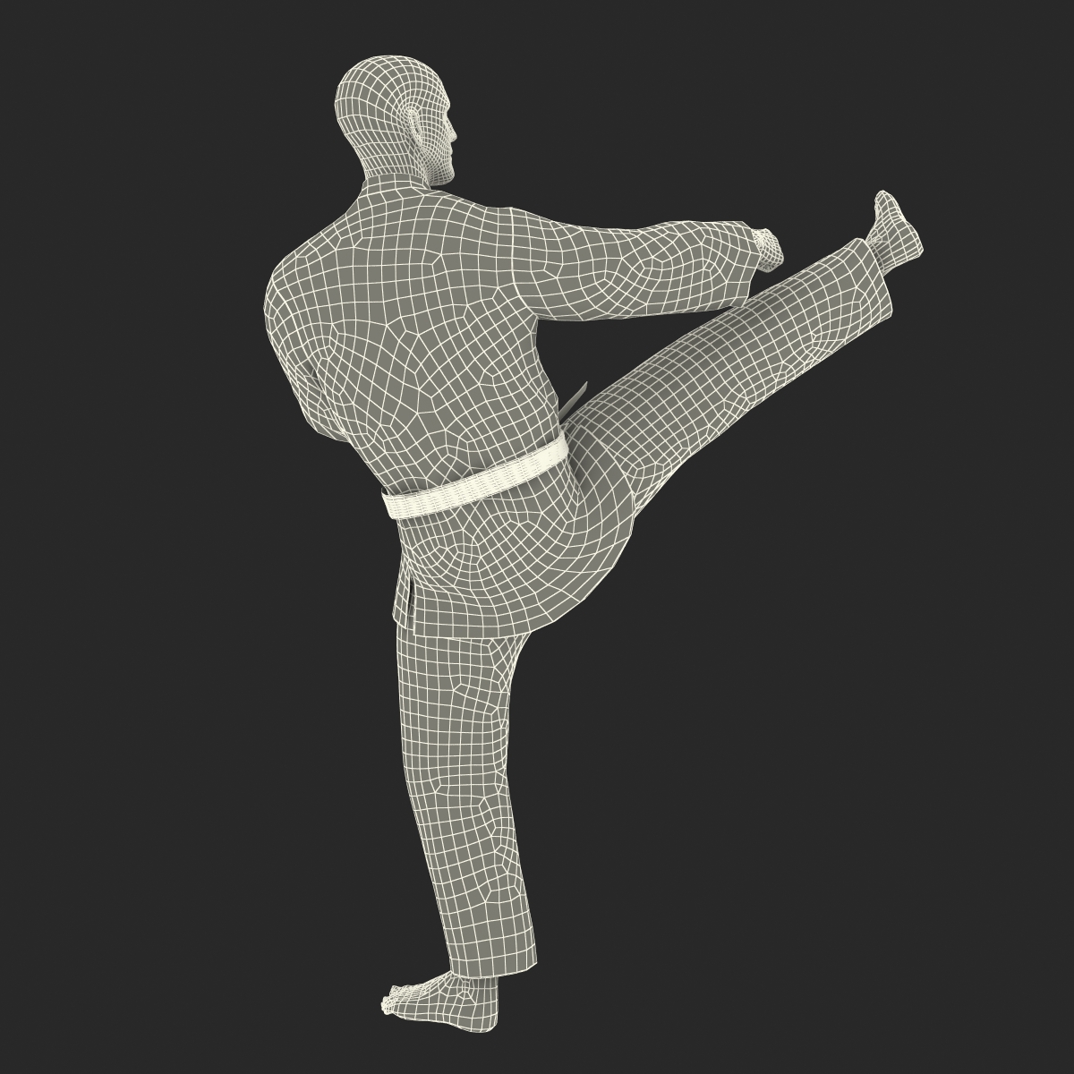 Karate Fighter Pose 2 Black Suit 3D