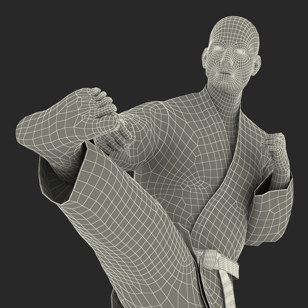 Karate Fighter Pose 2 Black Suit 3D