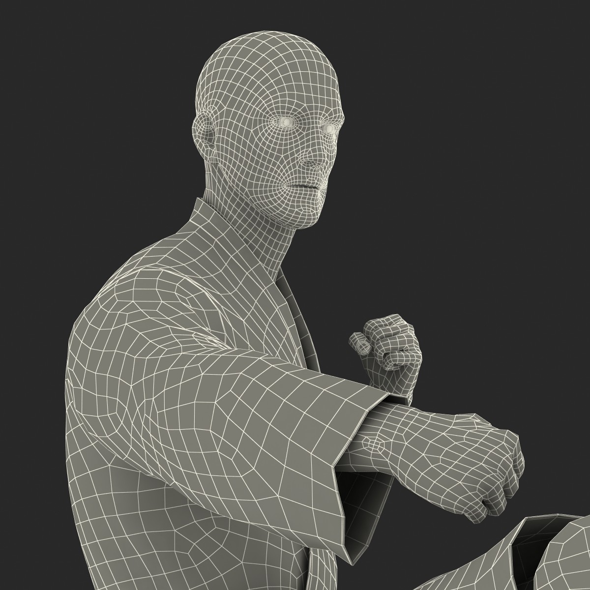 Karate Fighter Pose 2 Black Suit 3D