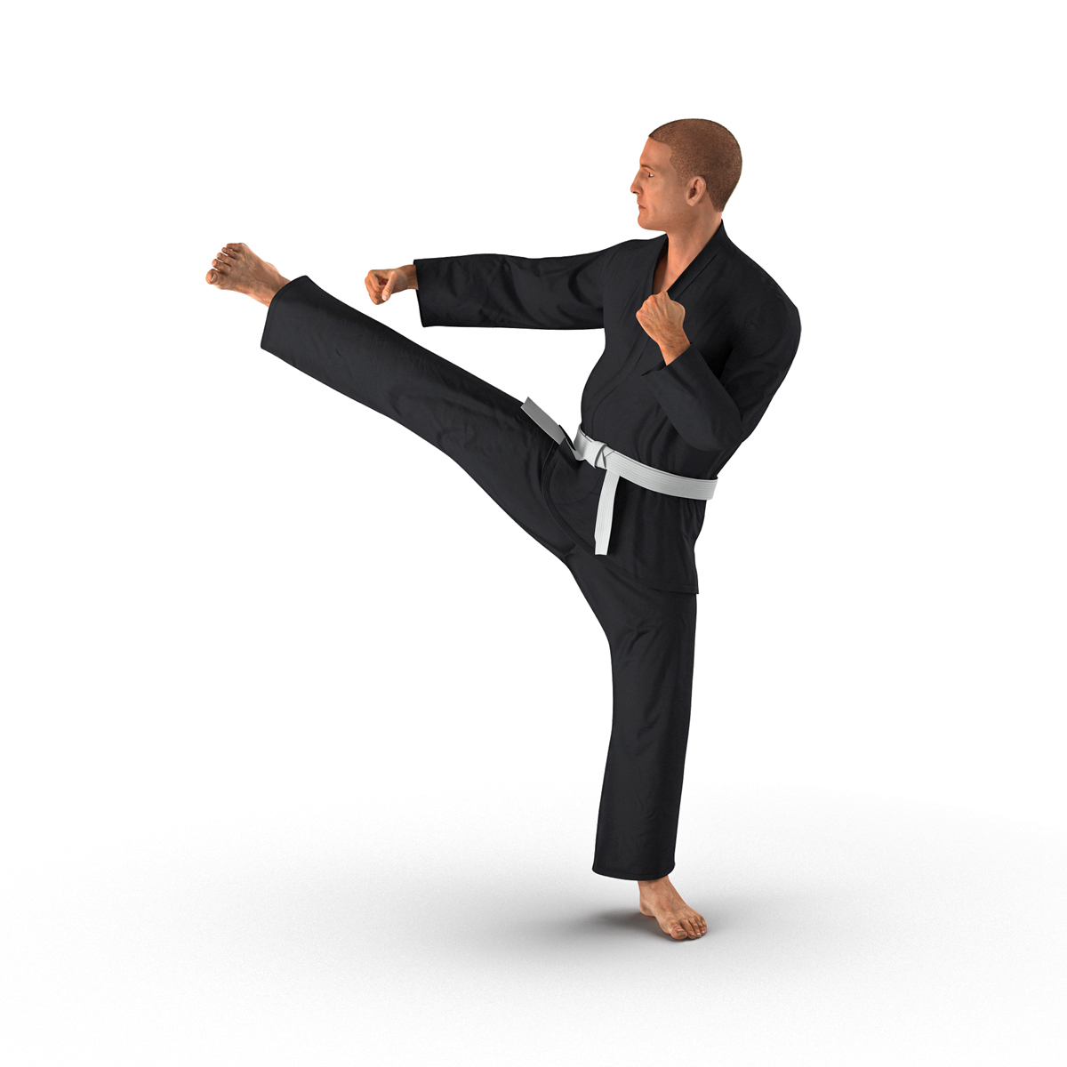 3D Karate Fighter Pose 2 Black Suit with Fur