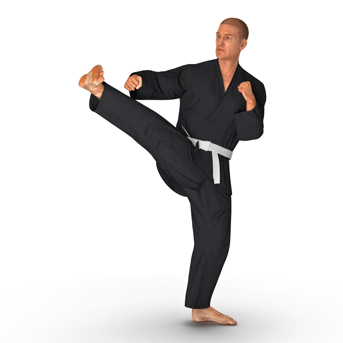 3D Karate Fighter Pose 2 Black Suit with Fur