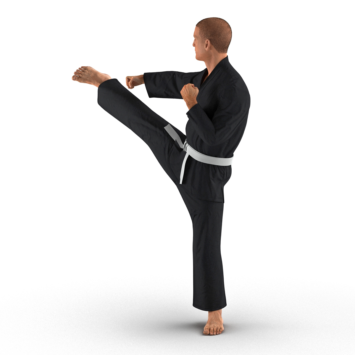 3D Karate Fighter Pose 2 Black Suit with Fur