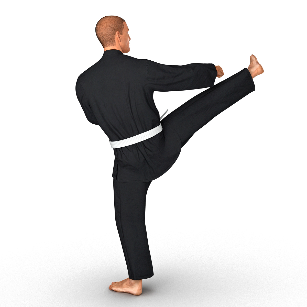 3D Karate Fighter Pose 2 Black Suit with Fur