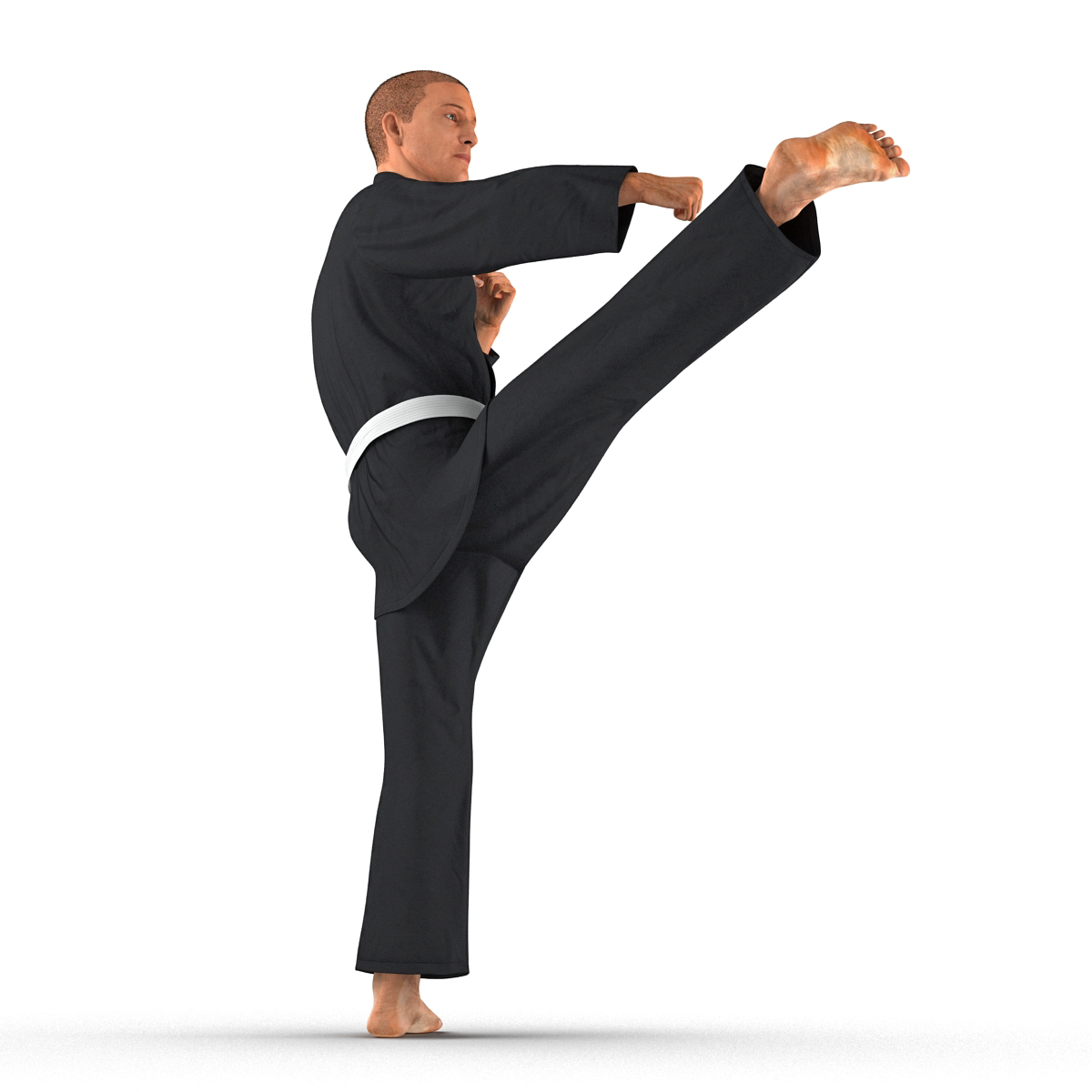 3D Karate Fighter Pose 2 Black Suit with Fur