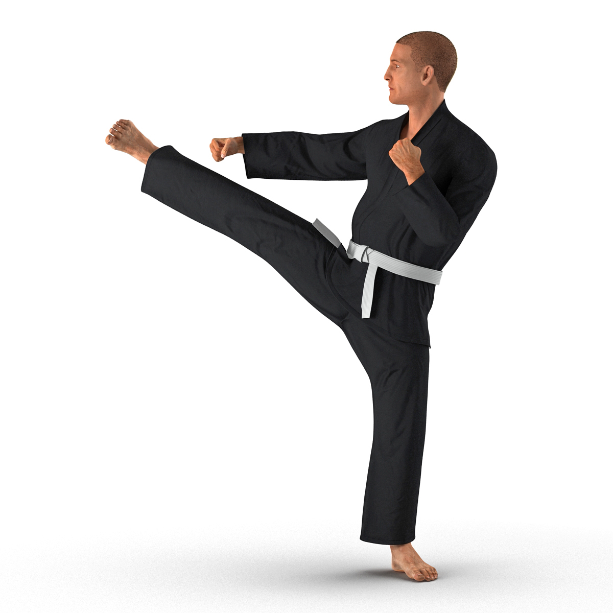 3D Karate Fighter Pose 2 Black Suit with Fur