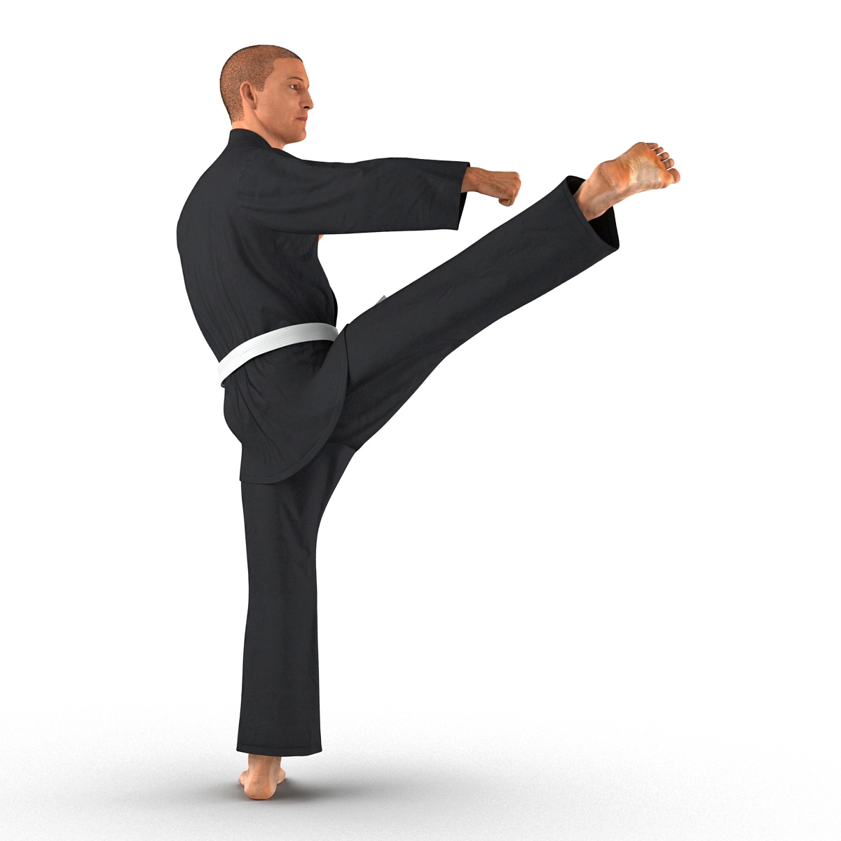 3D Karate Fighter Pose 2 Black Suit with Fur