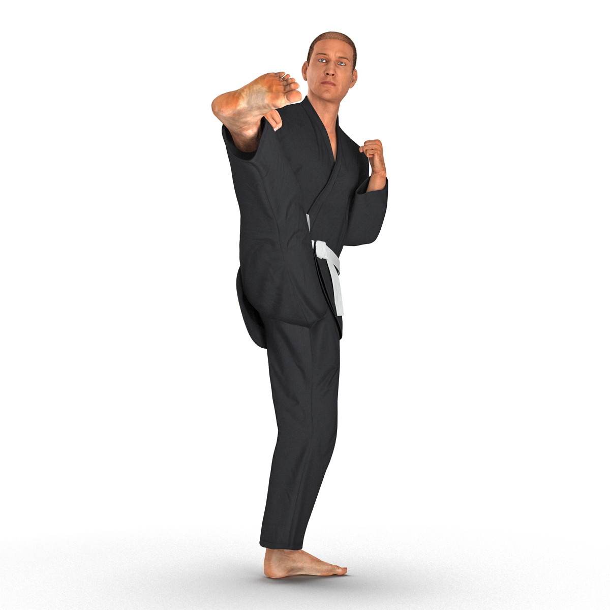 3D Karate Fighter Pose 2 Black Suit with Fur