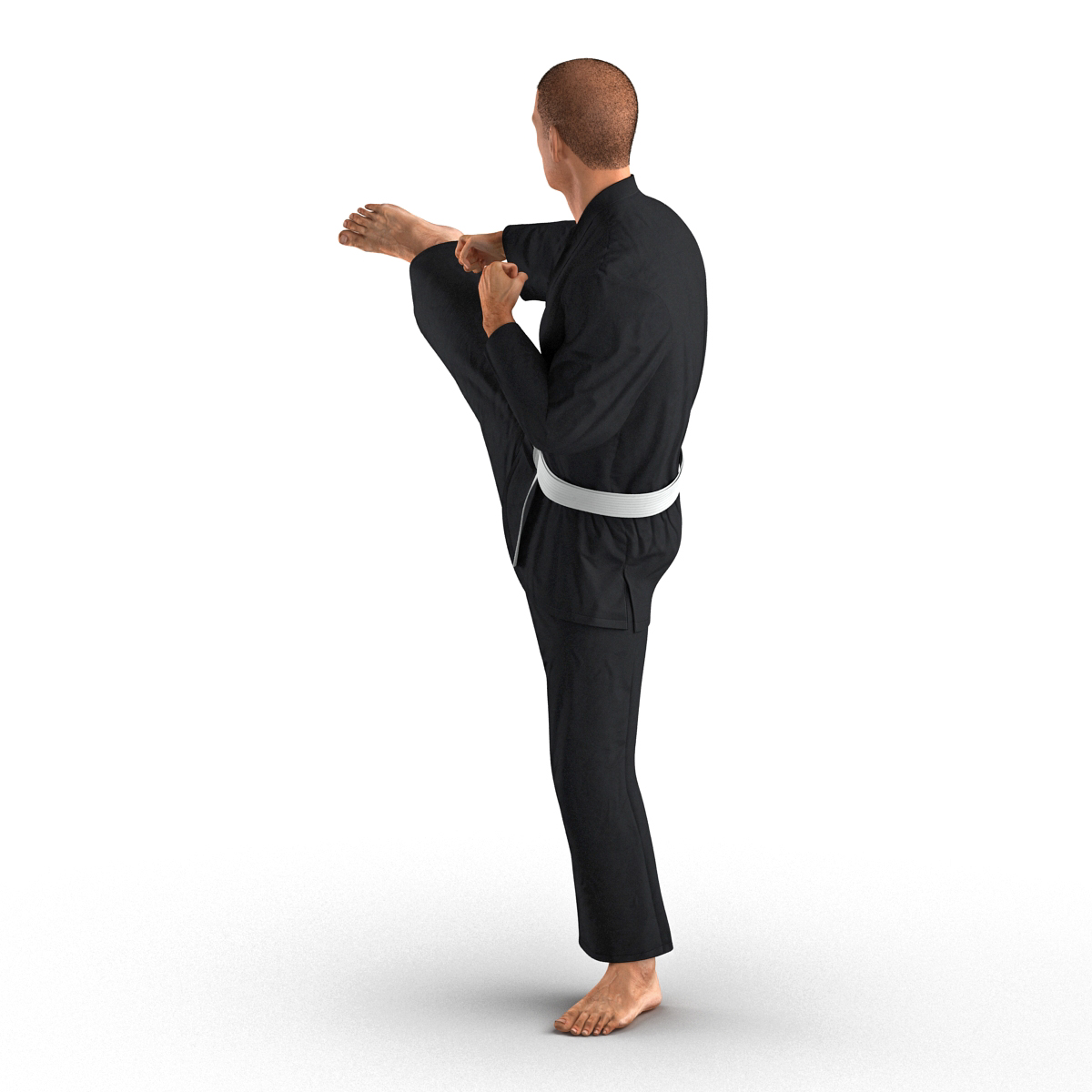 3D Karate Fighter Pose 2 Black Suit with Fur