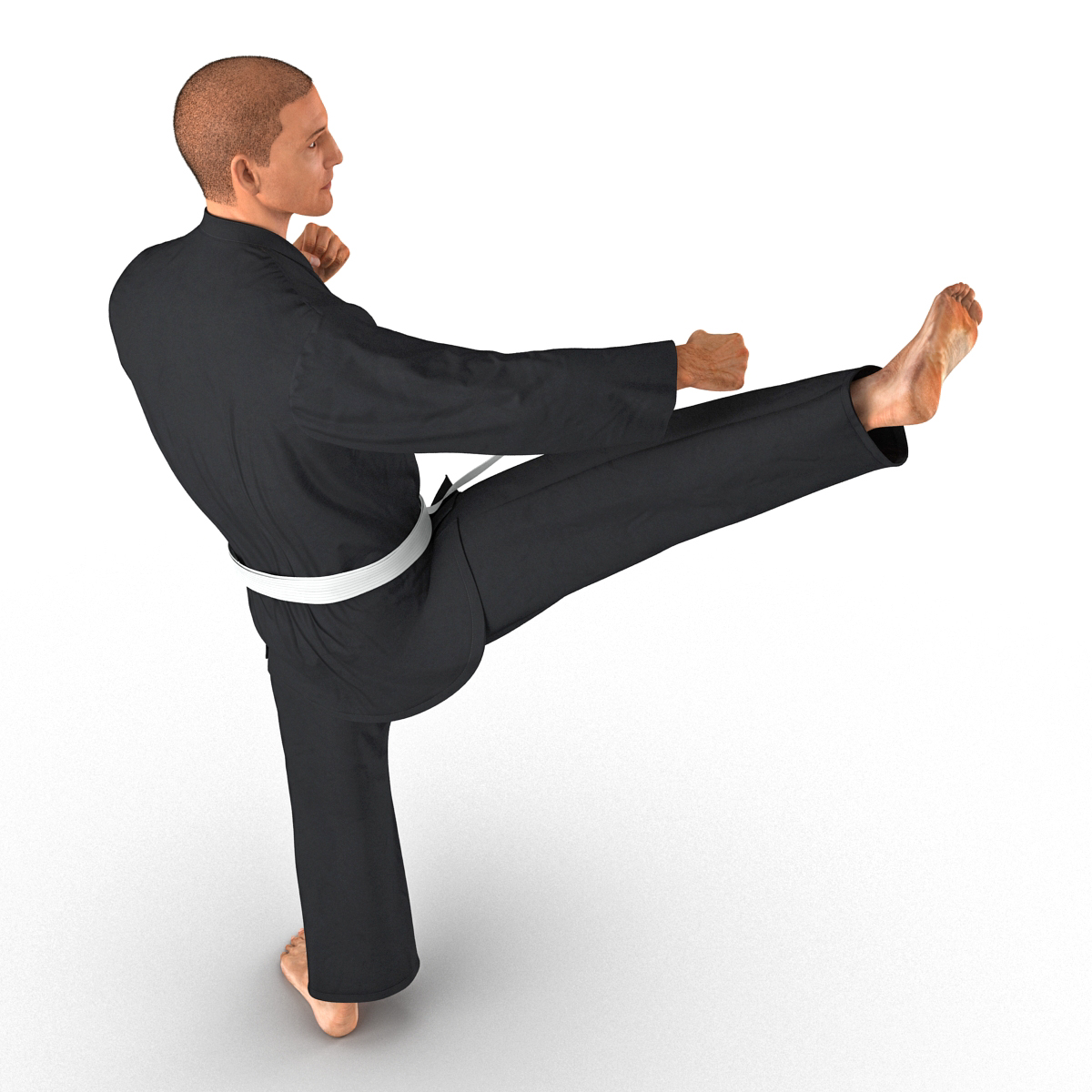 3D Karate Fighter Pose 2 Black Suit with Fur