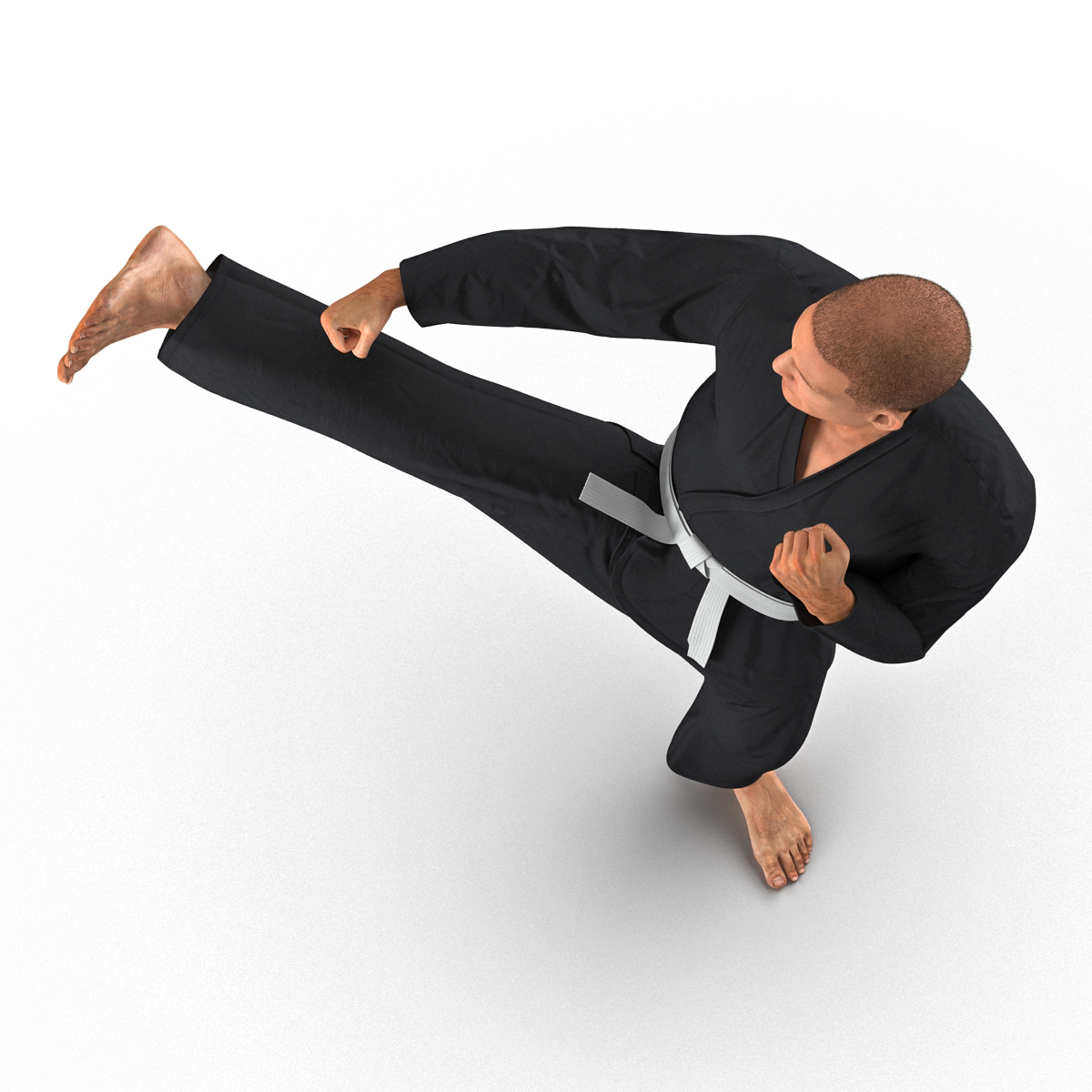 3D Karate Fighter Pose 2 Black Suit with Fur