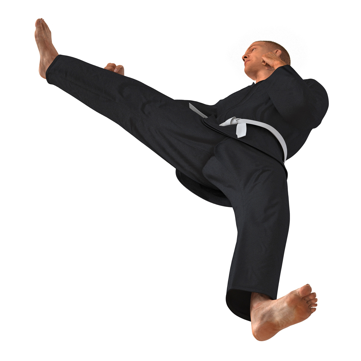 3D Karate Fighter Pose 2 Black Suit with Fur