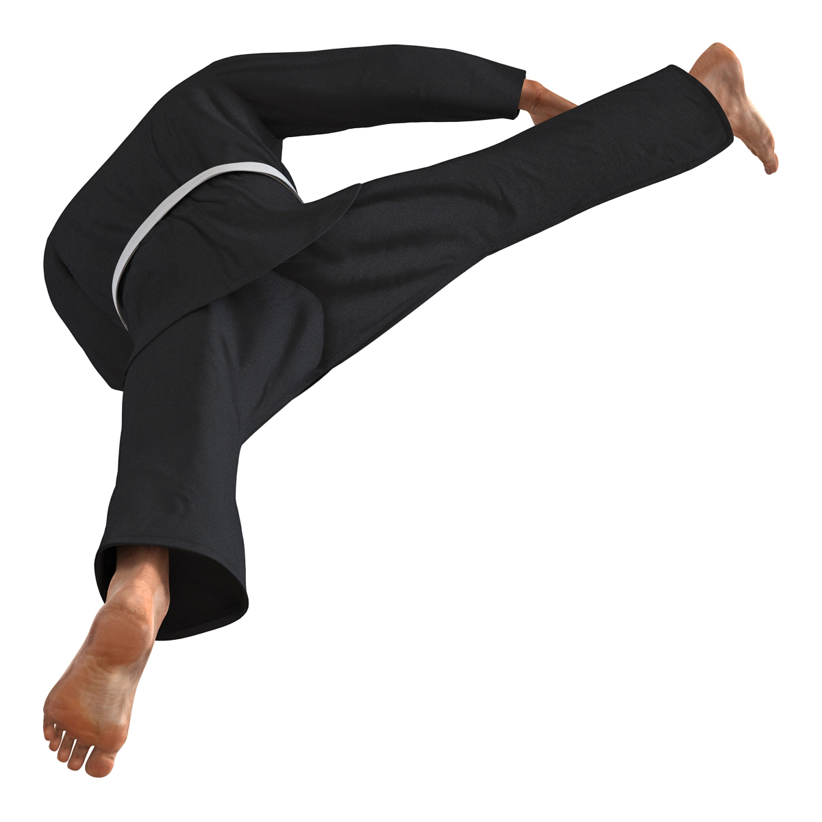 3D Karate Fighter Pose 2 Black Suit with Fur