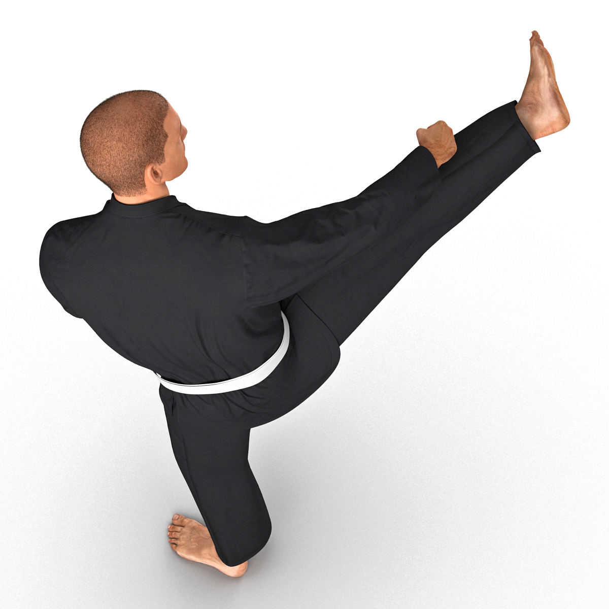 3D Karate Fighter Pose 2 Black Suit with Fur