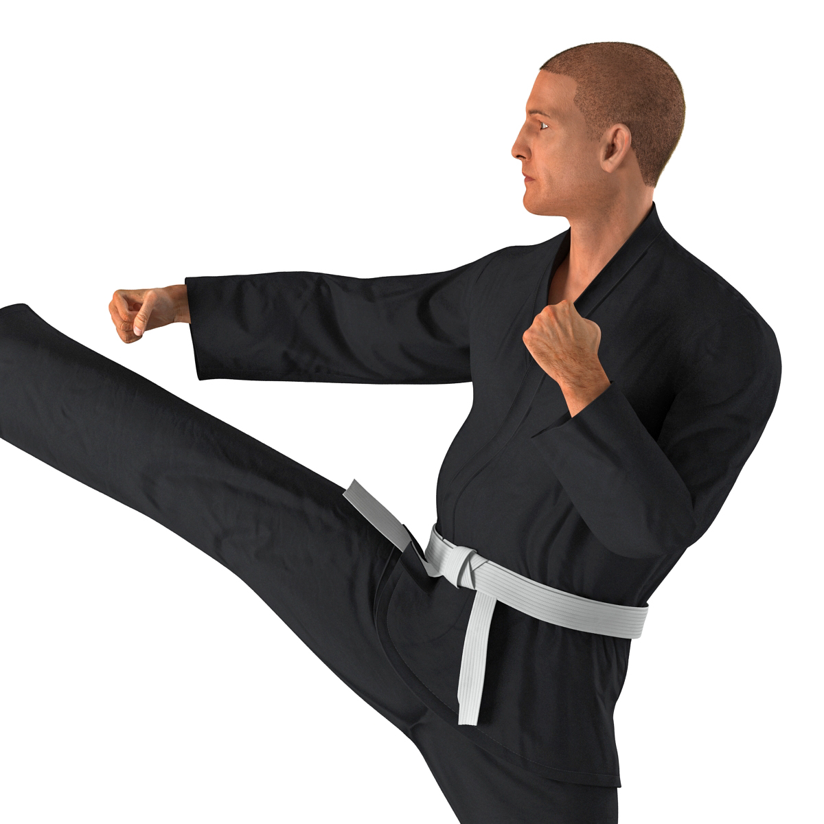 3D Karate Fighter Pose 2 Black Suit with Fur