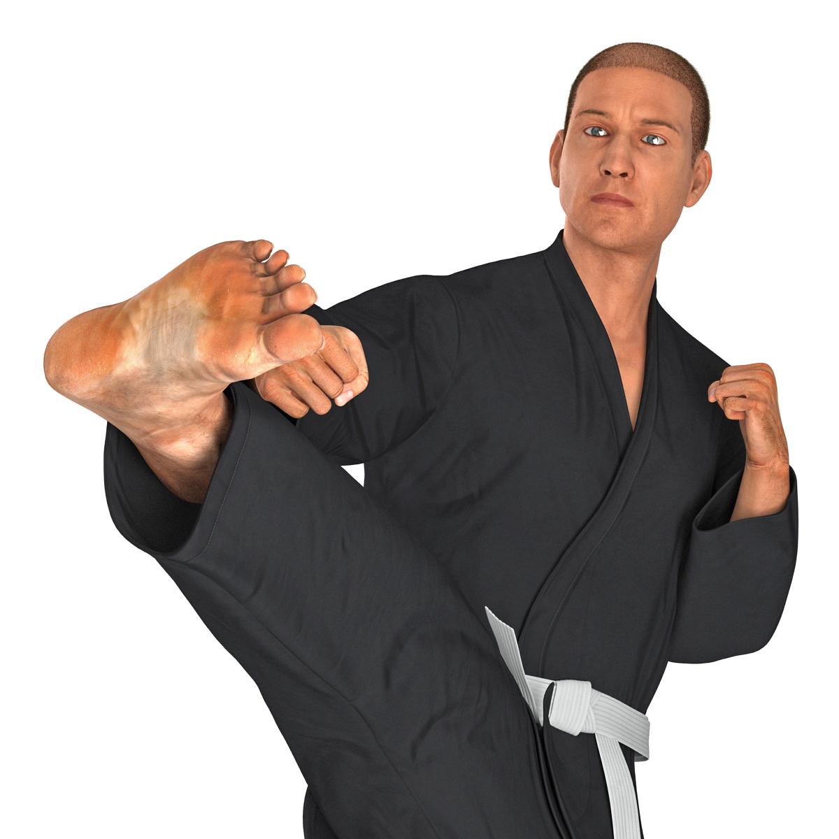 3D Karate Fighter Pose 2 Black Suit with Fur