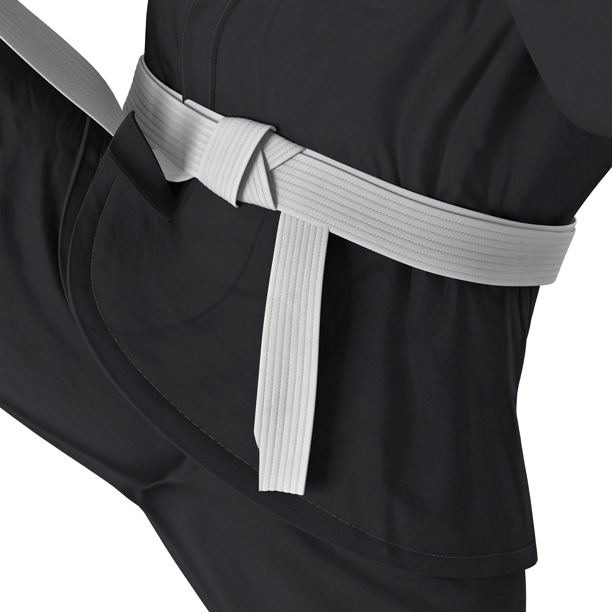 3D Karate Fighter Pose 2 Black Suit with Fur