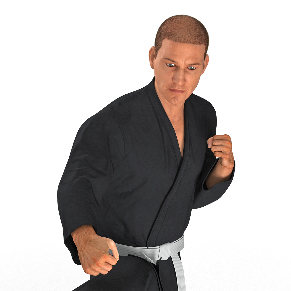 3D Karate Fighter Pose 2 Black Suit with Fur