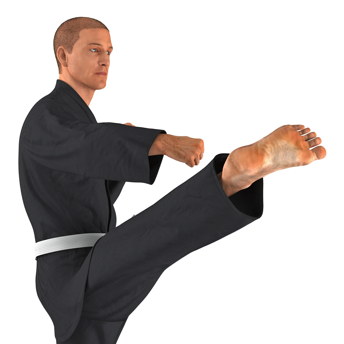 3D Karate Fighter Pose 2 Black Suit with Fur