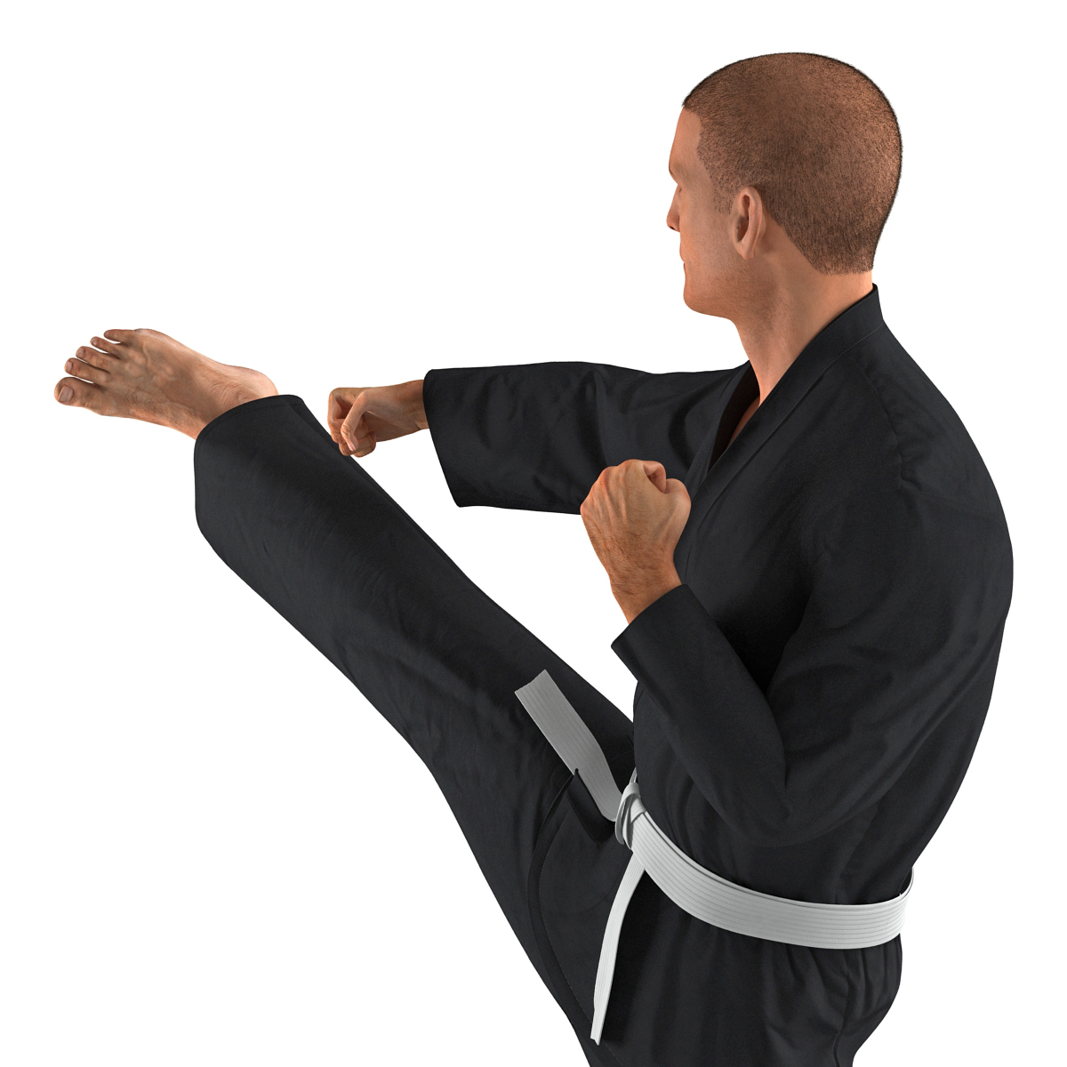 3D Karate Fighter Pose 2 Black Suit with Fur