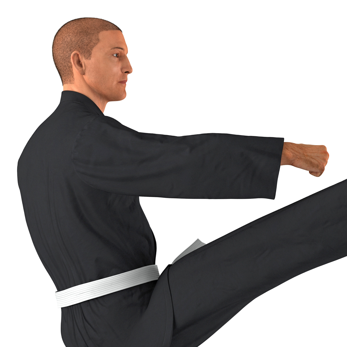 3D Karate Fighter Pose 2 Black Suit with Fur