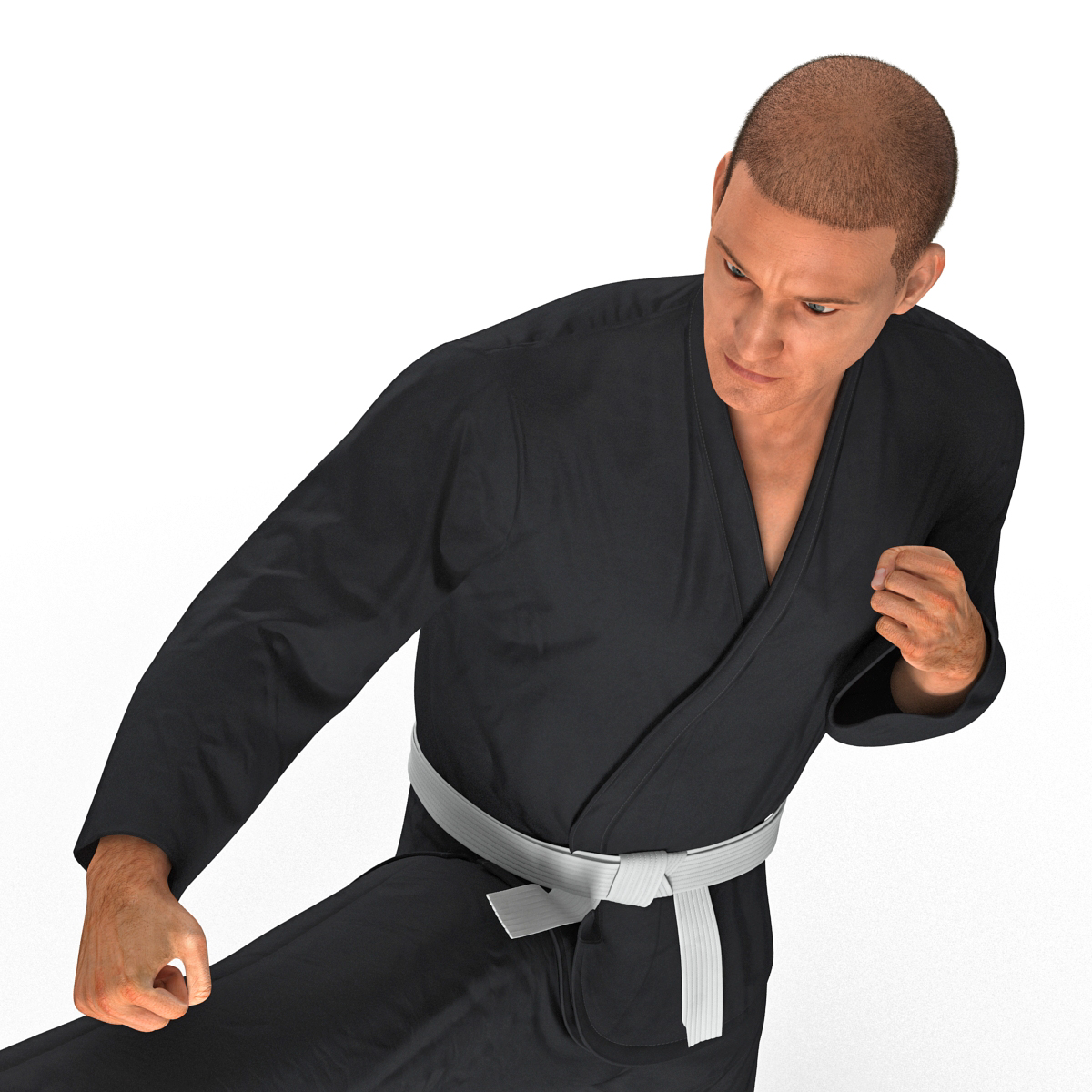 3D Karate Fighter Pose 2 Black Suit with Fur