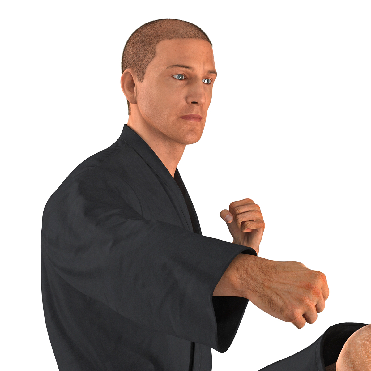 3D Karate Fighter Pose 2 Black Suit with Fur