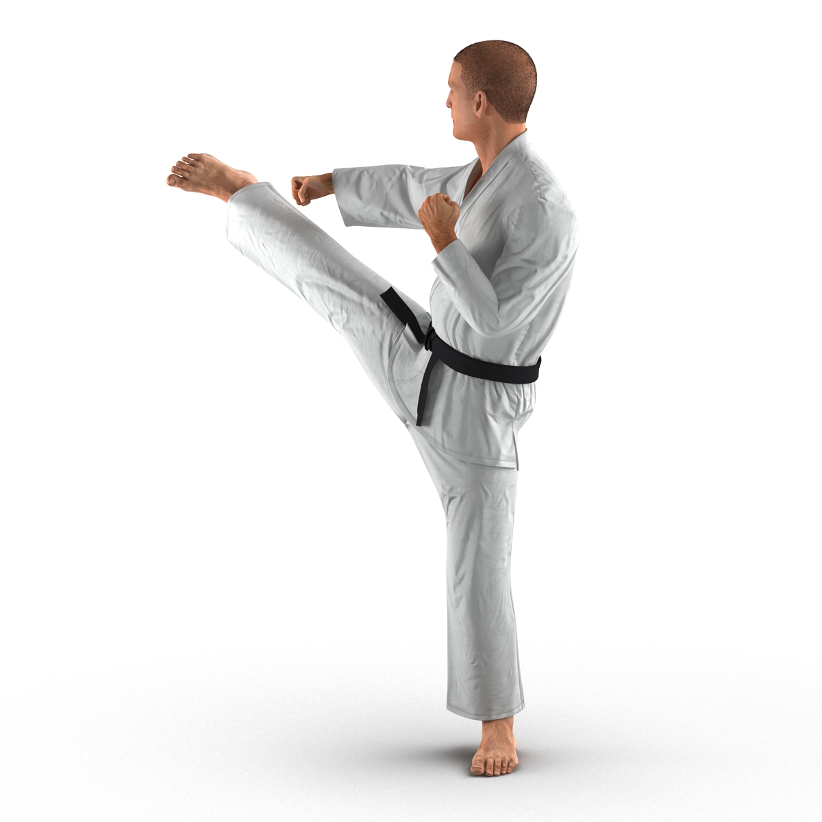 3D model Karate Fighter Pose 2 with Fur