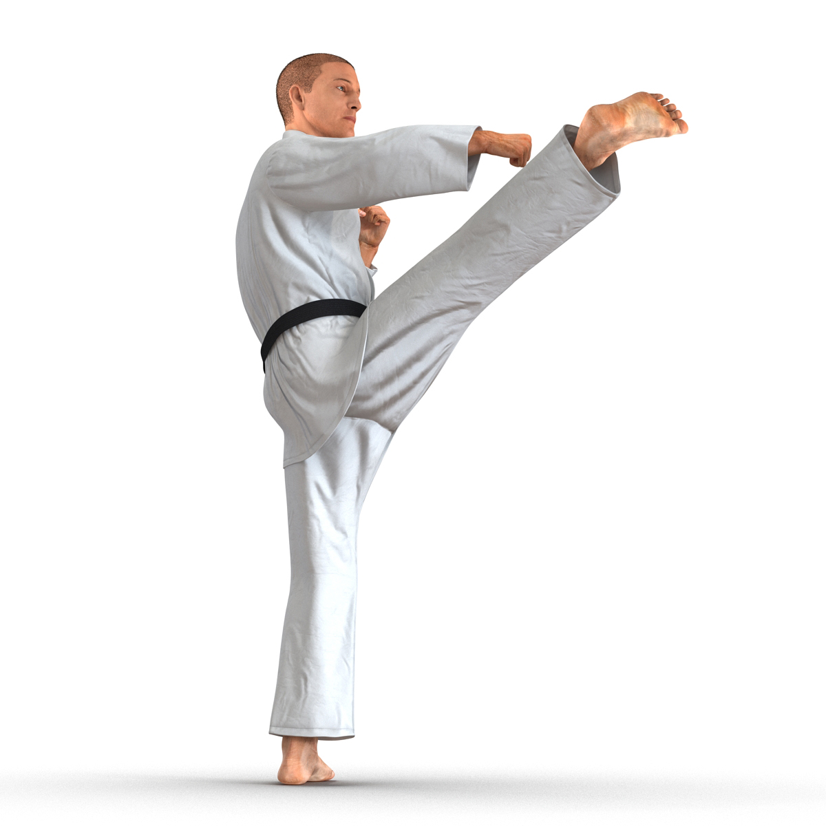 3D model Karate Fighter Pose 2 with Fur