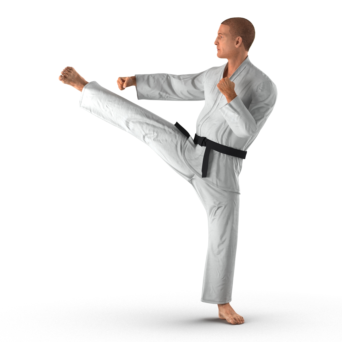 3D model Karate Fighter Pose 2 with Fur